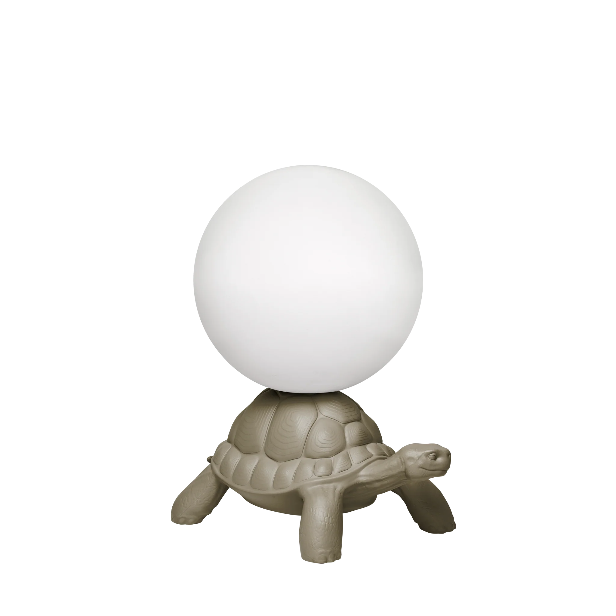 turtlecarrydesignbymarcantonio 19899 2 turtlecarrydesignbymarcantonio 19899 2